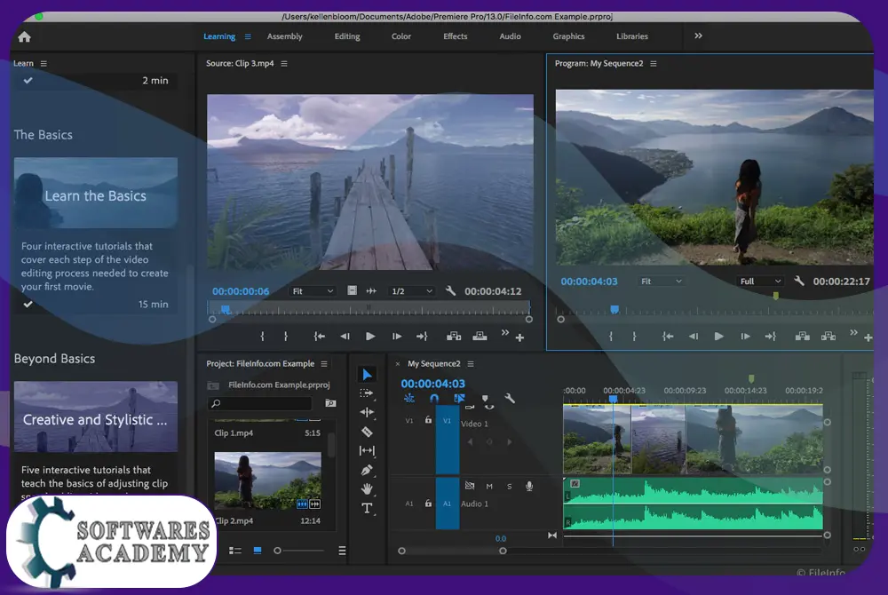 Adobe Premiere Pro CC 2019 Features
